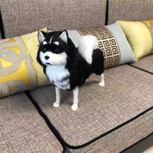 ���湷�_ĦҮ�Ȕ[�����վ��^��Ȯ��߶Y����Ȯ�S�Ҵ��l����[��