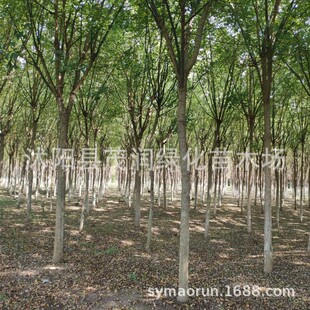 ������ ��·�G���� �е��� ������7-20�׏����ܴ�����ُ