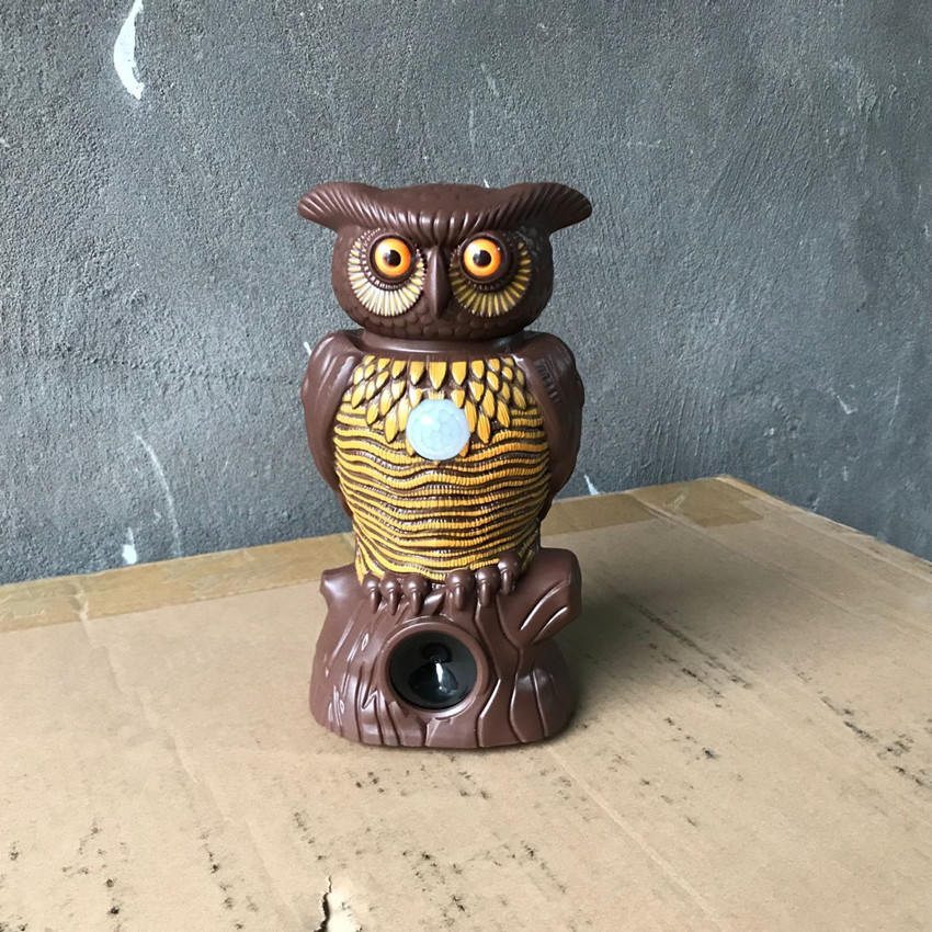 图片20190425221057_副本