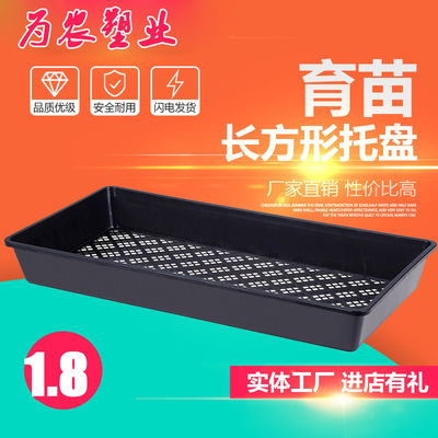 rectangle grow seedlings Tray Fleshy seedling Tray Seedling tray Dendrobium Seedling tray