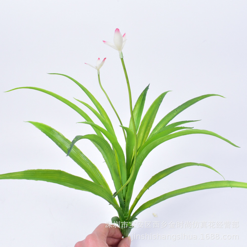 仿真吊兰花 水仙花 仿真剑兰 吊兰 仿真植物墙配材  仿真兰花草