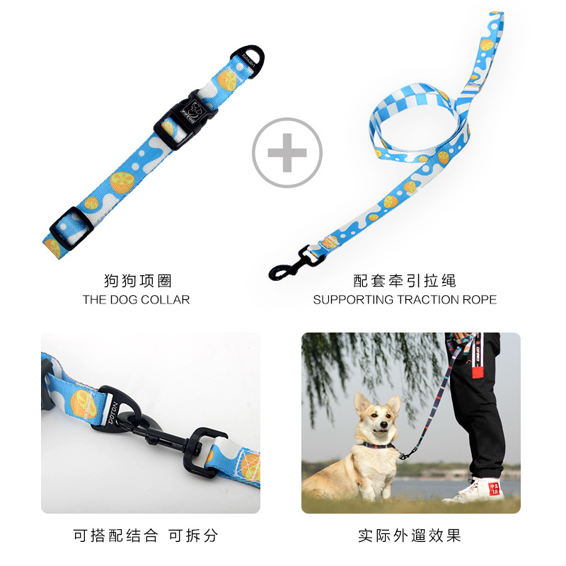 亚马逊新品宠物印花狗项圈牵引绳套装防勒P绳设计可伸缩宠物脖圈