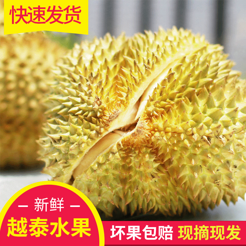 熱銷榴蓮 泰國新鮮水果 金枕頭榴蓮香甜軟糯營養豐富包郵壹件代發