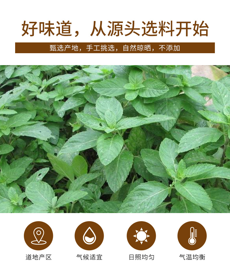 Mint Leaf Tea (Mentha haplocalyx) — Dried Bo He Leaves, 45g Jar, Fresh Aromatic Herbal Tea key features