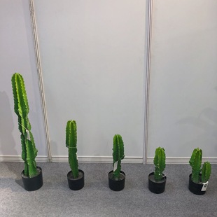 ���W�Ҿӷ���������Է���ֲ���辰����[�����������������