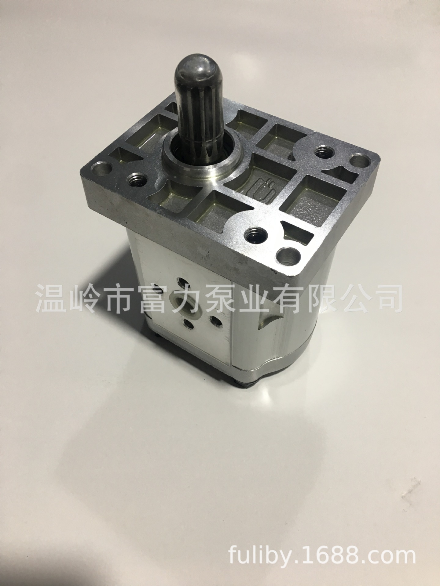 厂家直销高品质 工程泵 齿轮泵 农机泵 恒流泵   RC900.58.010