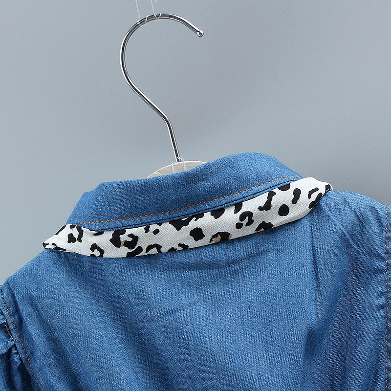 Denim Mesh Princess Dress