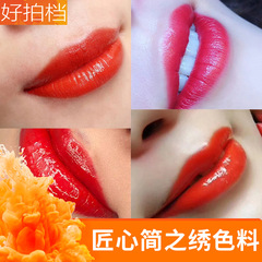 Craftsmanship Simplified: Semi-Permanent Embroidery with Natural Dyes and Pigments, Plant Mist Eyebrows, Lip, Eyebrow, Eye Line and Eyebrow Tattoo with Color Cream