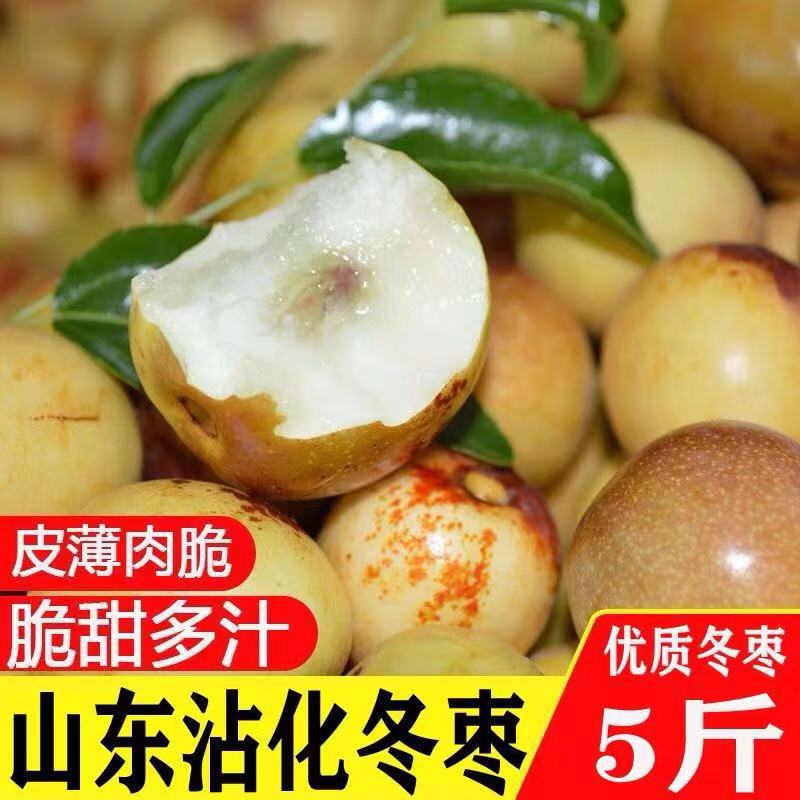 山東沾化冬棗5斤大果/中果脆甜棗子鮮棗新鮮水果壹件代發順豐包郵