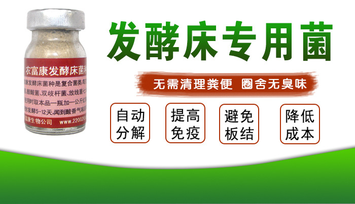 为什么越来越多的人用发酵床养猪