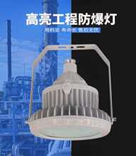 led防爆灯仓库厂房30w40w80w100w120w投光灯加油站隔爆型防水灯具