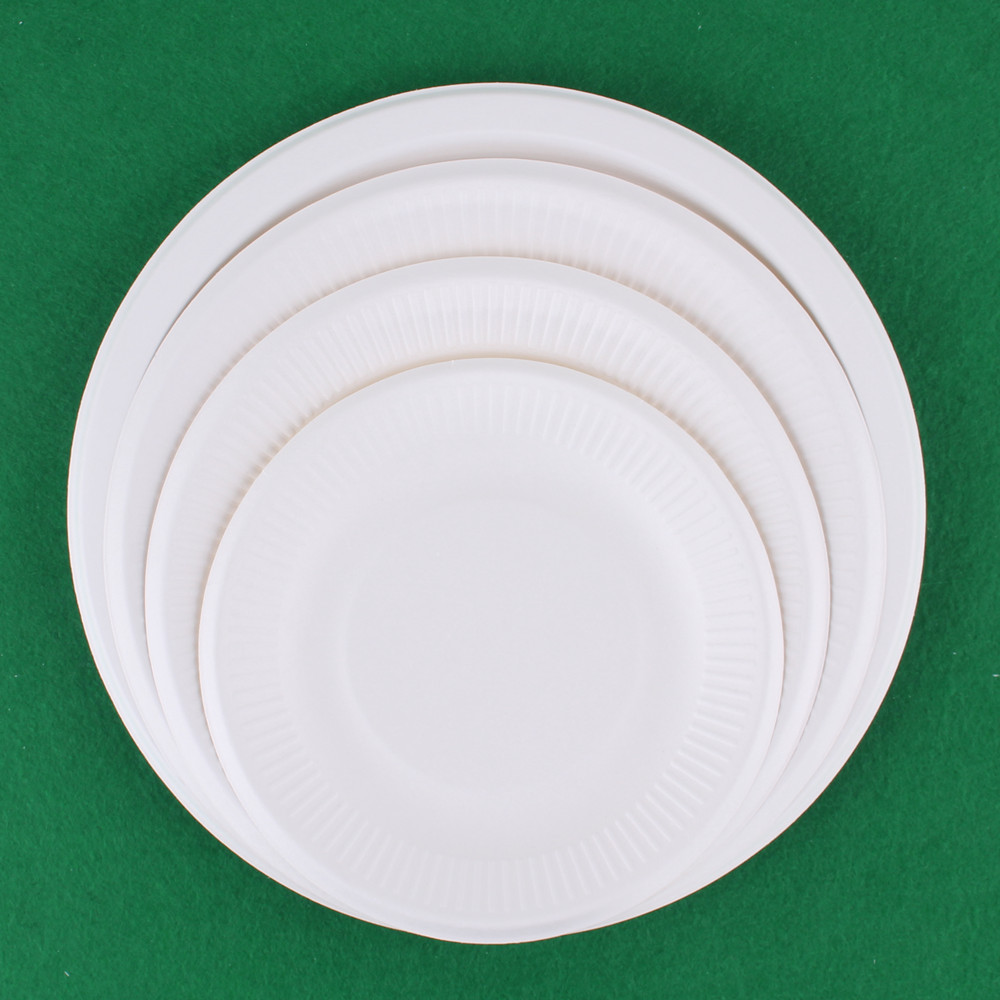 Placa de papel blanco placa de papel pintura graffiti placa de papel desechable placa de la torta jardín de infantes materiales hechos a mano