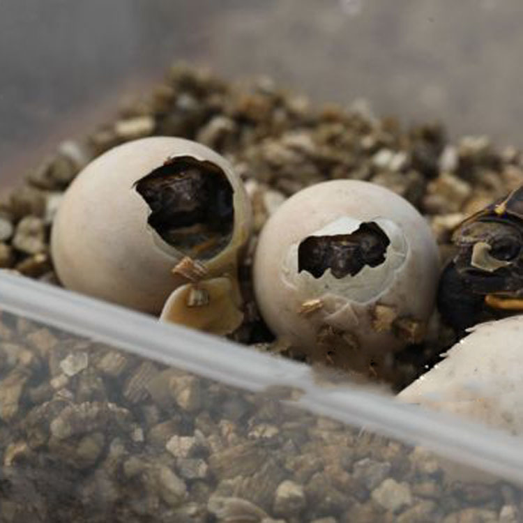 8a7c8981ae4997a2144efd8ddc5898