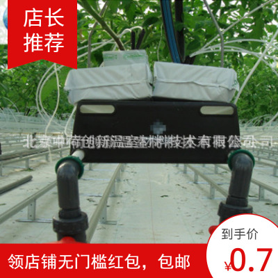 Netherlands greenhouse Planting tank cultivate tomato three-dimensional cultivate Vegetables Soil types Planting Rockwool Coconut husk