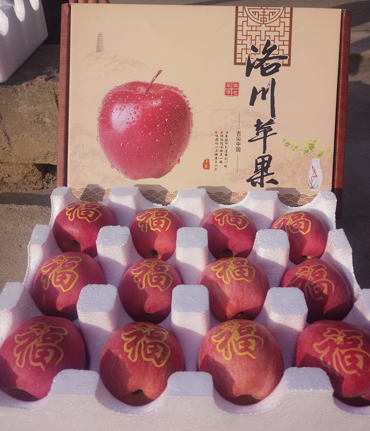 精品 洛川苹果打字礼盒 送礼必备 红富士苹果 精装12头