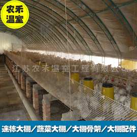 新型养猪养鸡畜牧养殖温室大棚 农业单体养殖大棚 塑料薄膜椭圆管