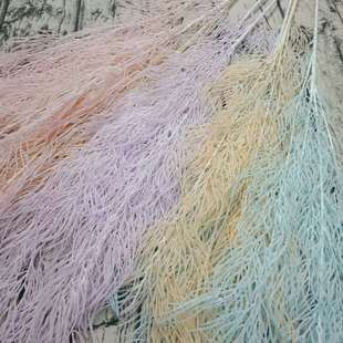 lYc쾰ϻ LUPβ ¿FڡFPβ