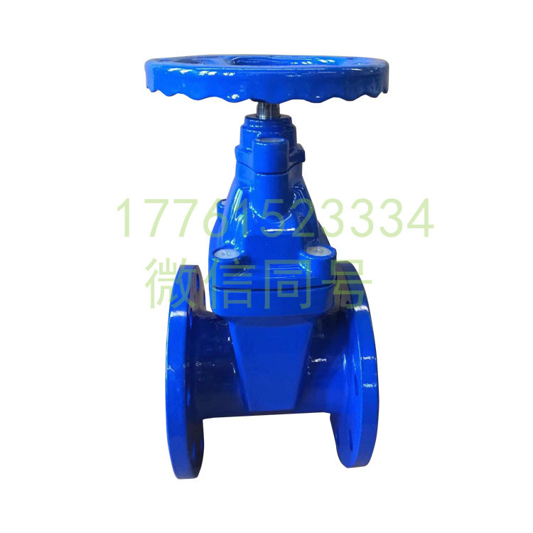 gate valve (19)