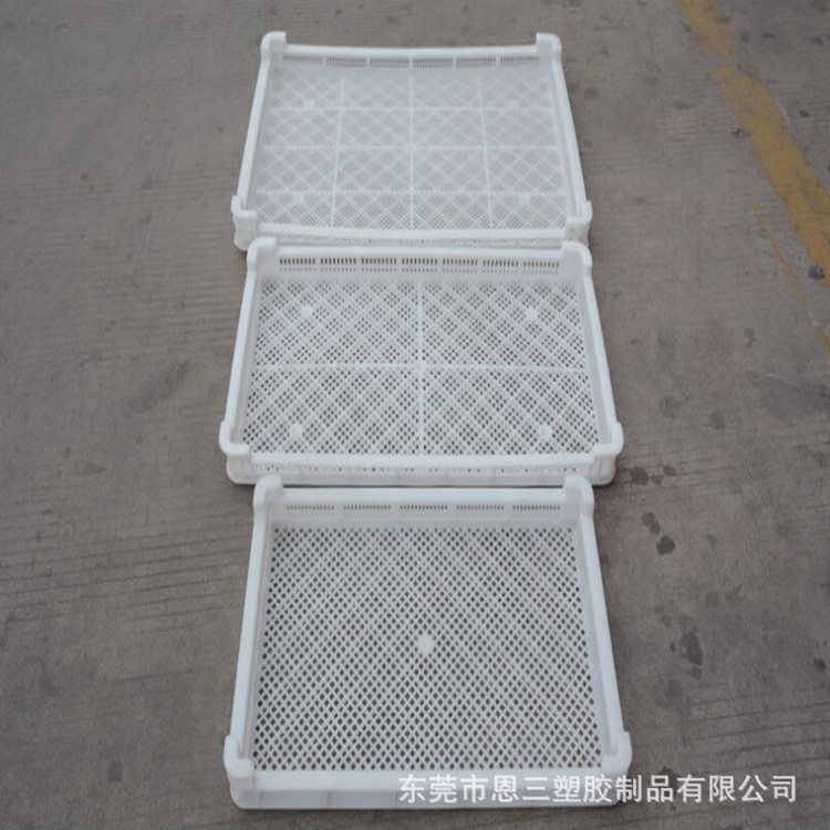 枸杞晾晒筐茶叶烘干盘冷冻盘晾晒盘海参晾晒筐 塑料单冻器烘干盘