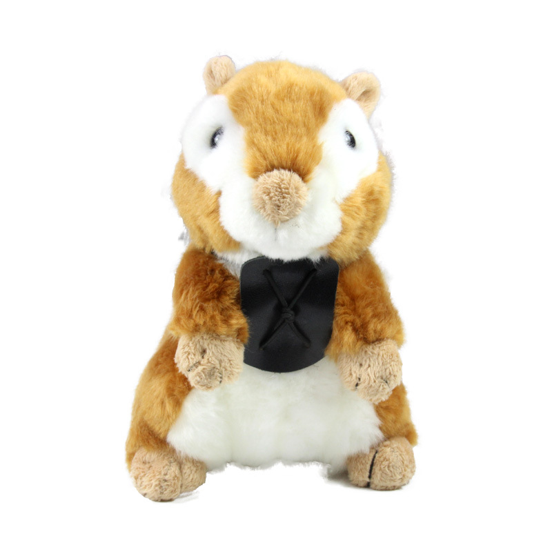 19083111松紧带小宠胸背带