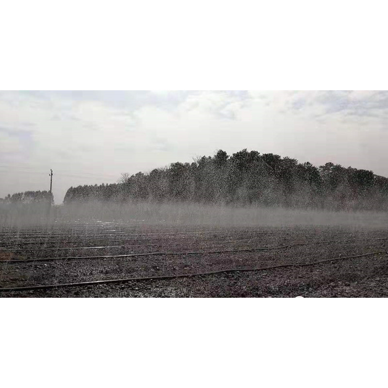 7abc534f498ba31716a248ed8b0d1b