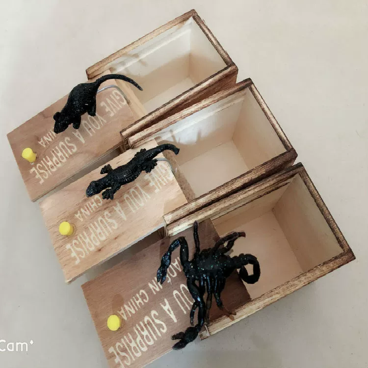 Игрушка, деревянная коробка, паук