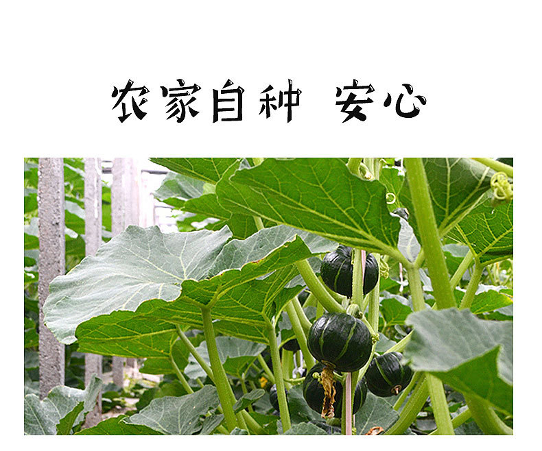 20190709_214845_006