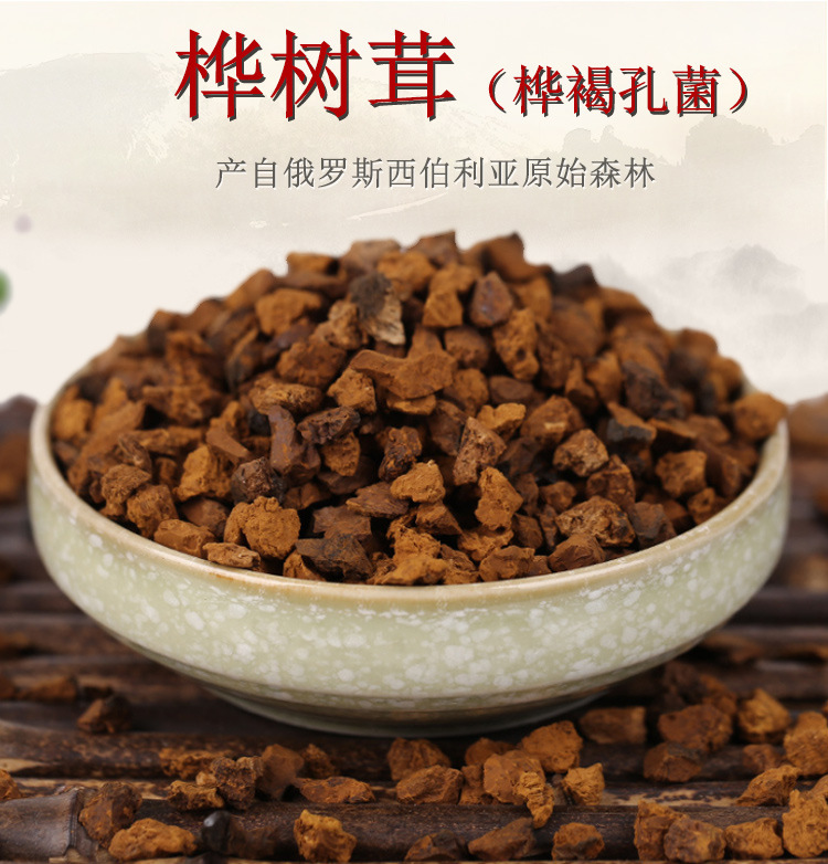 Chaga Mushroom Granules Hua Shu Rong Inonotus obliquus Ready to Eat Herbal Chunks for Daily Wellness in use