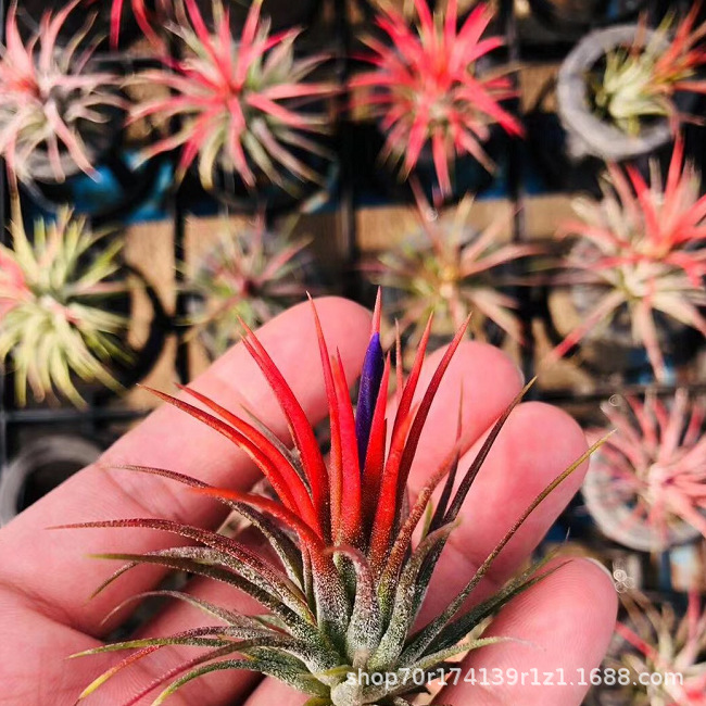 13c39c2a0213dd6d7fecd935a9fbdc