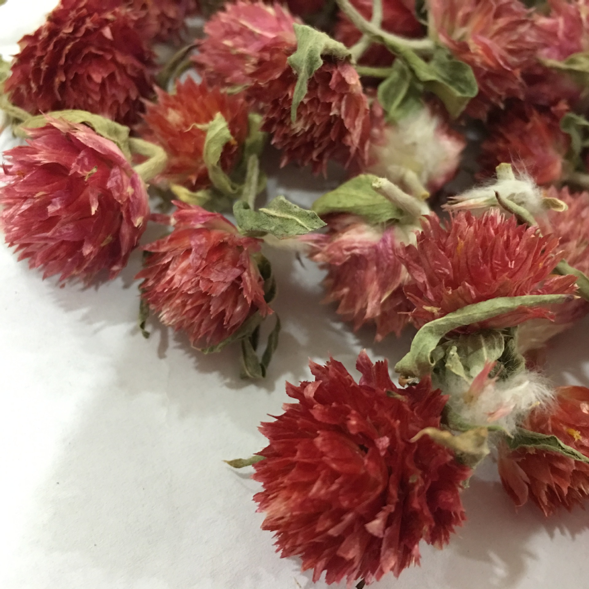 Dried Red Plum Blossom Flower Heads Hong Qiao Mei Loose Herbal Tea and Decorative Dried Flowers 500g quality and texture