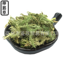 批发 伸筋草 中药材 舒筋草 新货伸筋藤 伸筋草粉 大货大伸筋R