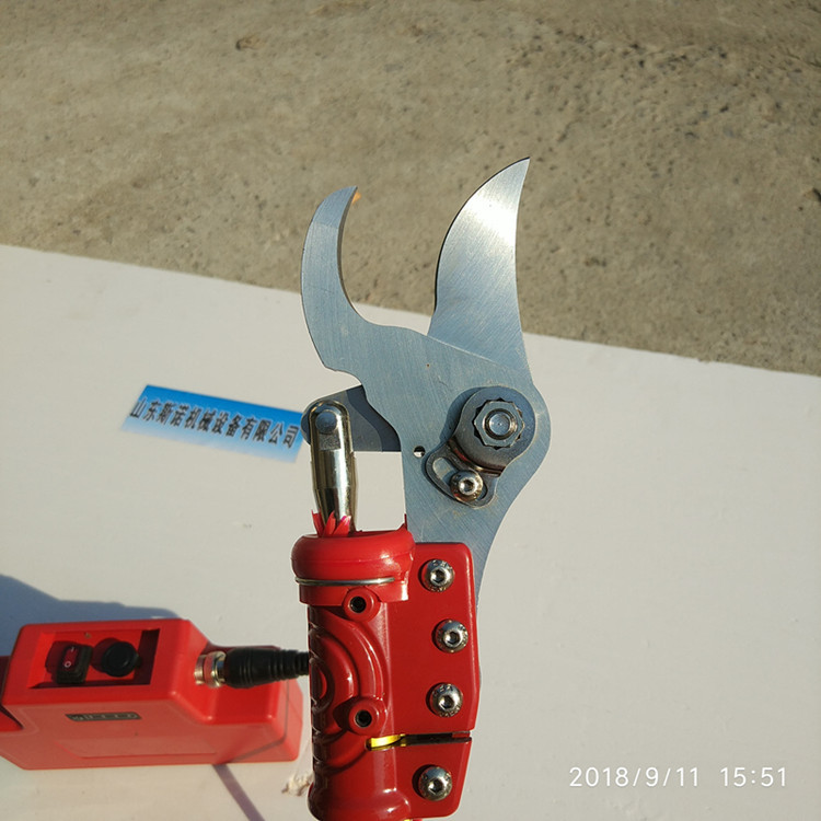 152815422128178041_副本