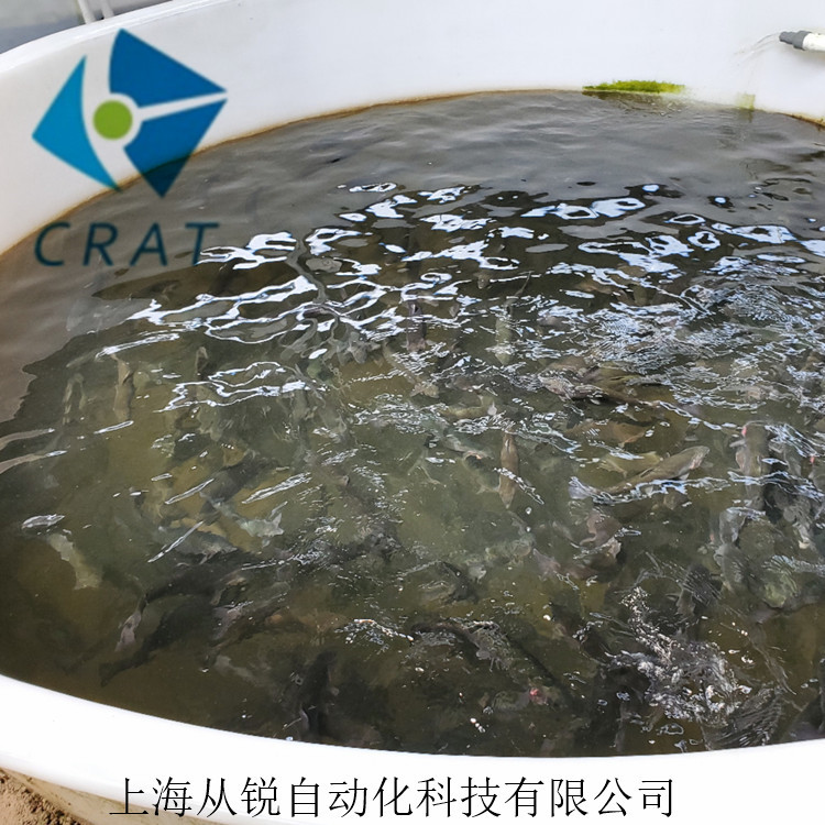 上海从锐高密度水产养殖系统 /养殖设备/工厂化水产养殖设备