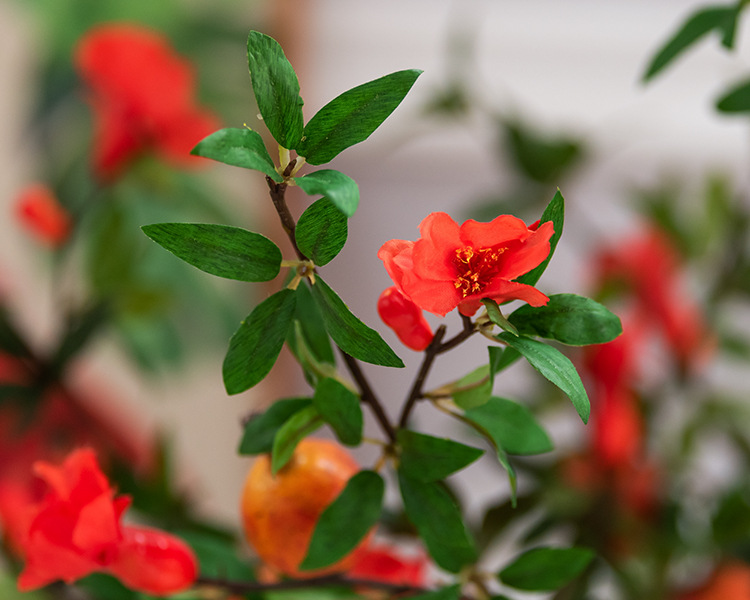 4果4花石榴枝 桔色_03.jpg