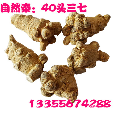 水洗文山三七，40支一手货源大货供应