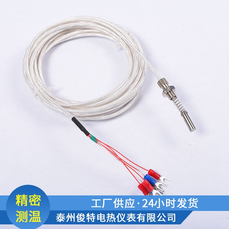 欢迎选购  供应热电阻   WZPM2-201双支端面热电阻