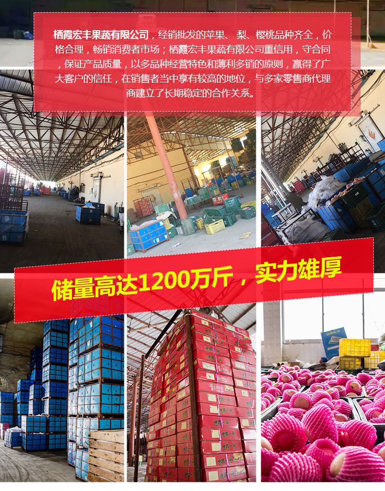 苹果详情源文件_12