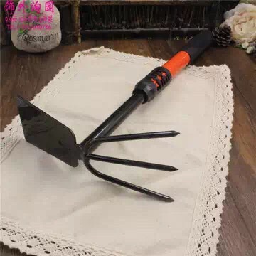 3217043672_1578675911