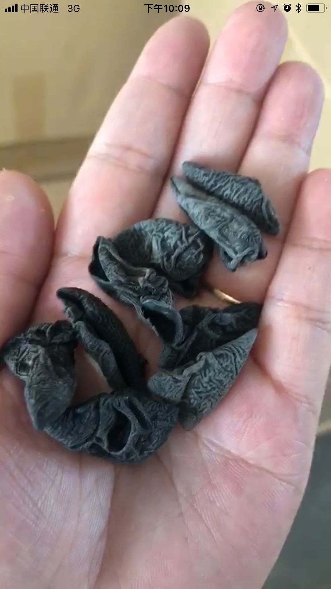 QQ图片20190924093429