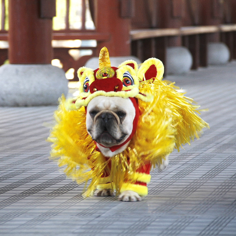 Transformación de Año Nuevo traje jizai suministros para Mascotas Fábrica Año Nuevo ropa de León estilo chino cubo francés Ropa de baile de León