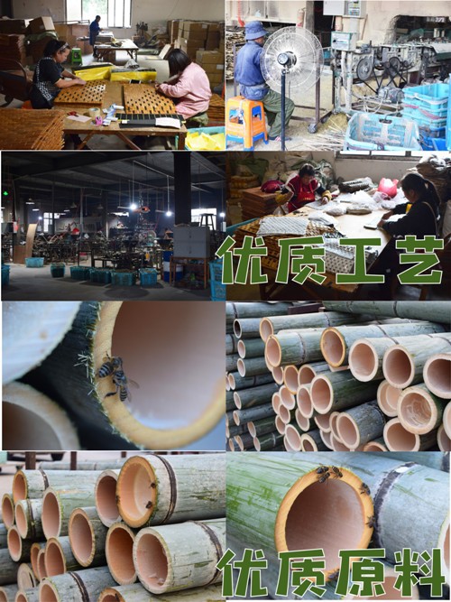 881768070A9DDA8C1E658637281E1A