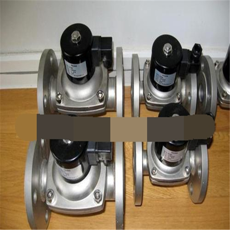 ZS-15-20-25-32-40-50-65-80-100-125-150-200电磁阀304L海水316L