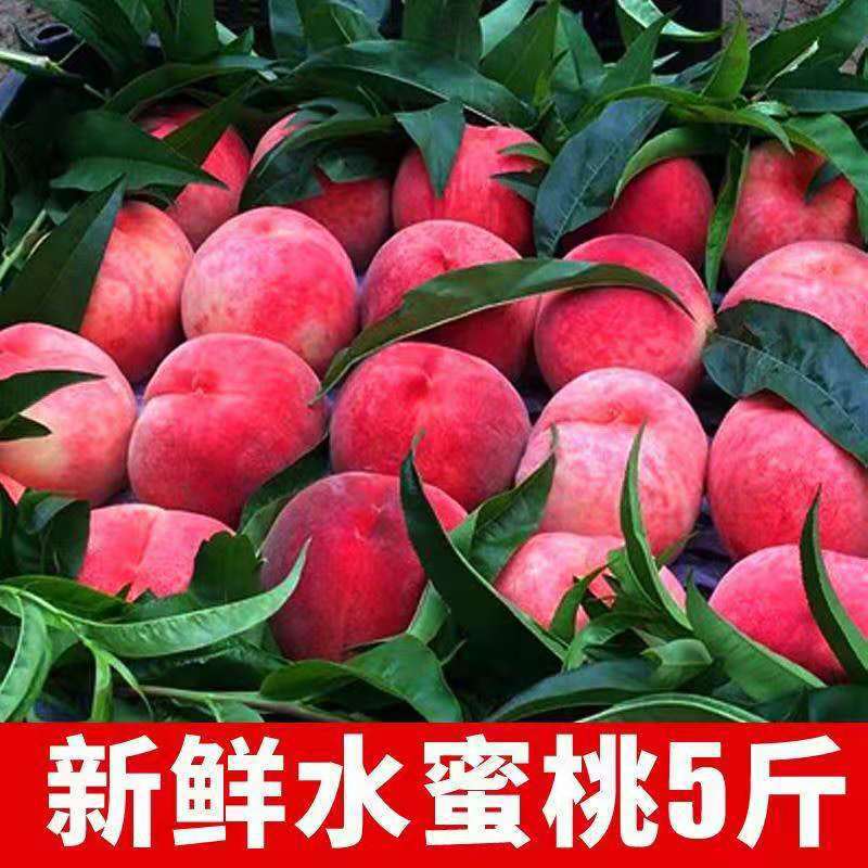 冬桃新鮮5斤包郵現季水果水密桃子應季黃心油桃當季時令水蜜桃脆