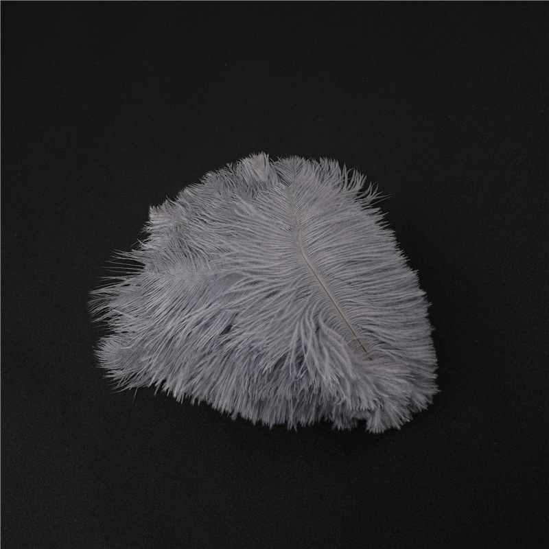 Capture One Catalog14603