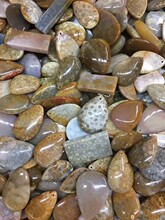 �ʻ���ɺ��������ջ�ʯ���ë��朒��