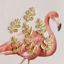 �¿���~���~��֦�Ͻ���� �Ͻ��ƷС��֦����h�b�С���