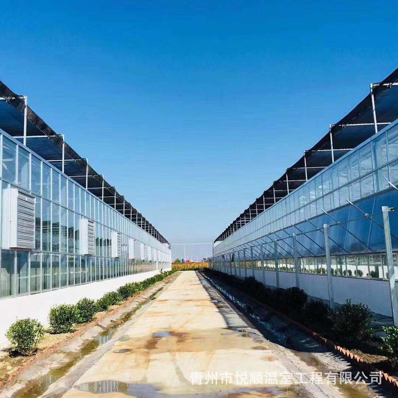 文洛型玻璃温室连栋温室温室蔬菜大棚智能玻璃连栋灌溉大棚灌水