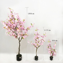 һ ҾӷGֲaS һ YƷһ辰b[