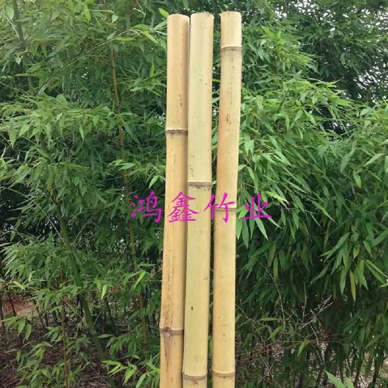 定制 田园 白色 栅栏 白竹 篱笆 竹竿 鱼竿 晾衣杆 粗 攀爬架