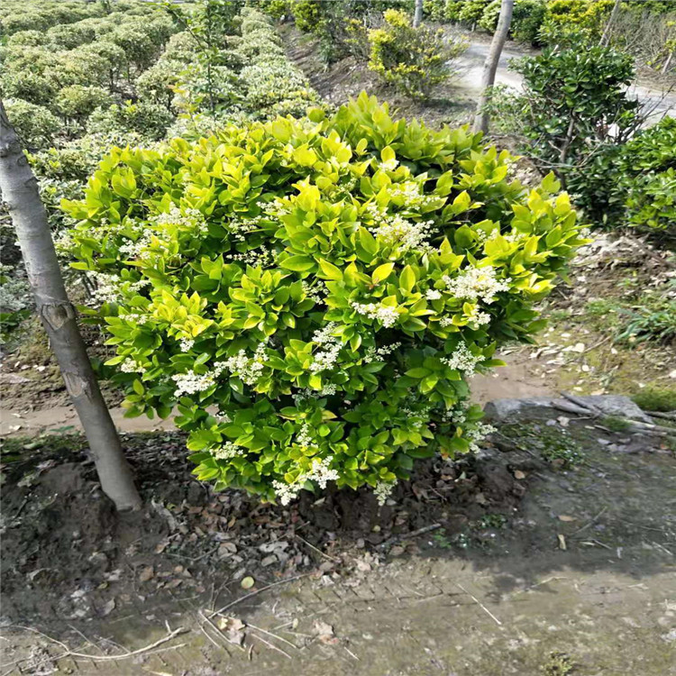 微信图片_20190924001112